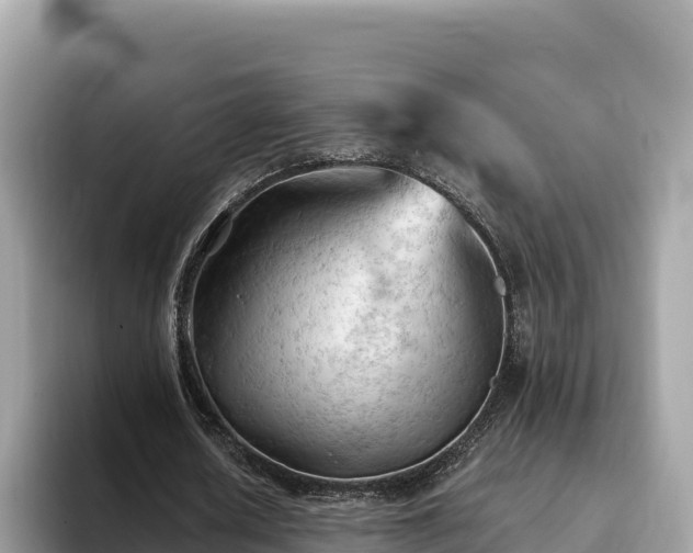 X0000093420626200710191006