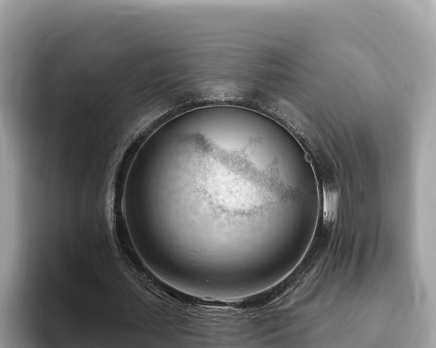 X0000093420627200710191006