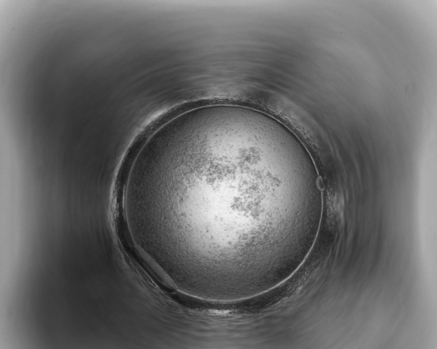 X0000093420628200710191006