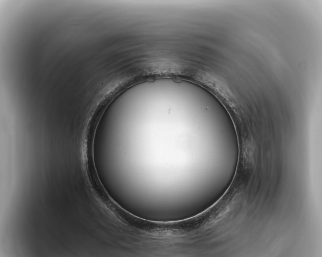 X0000093420629200710191006