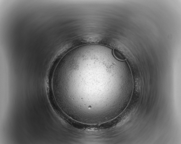 X0000093420634200710191006