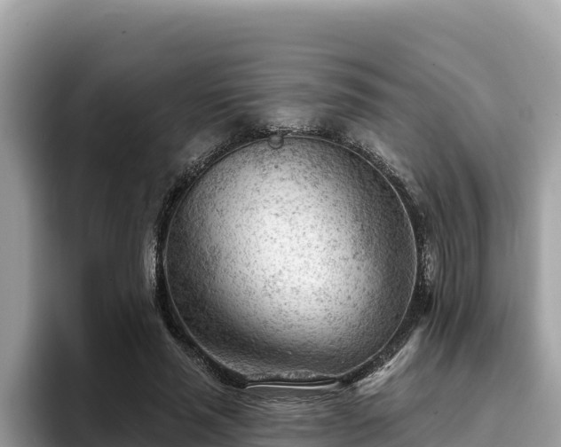 X0000093420637200710191006