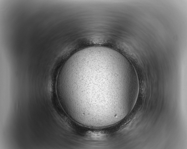 X0000093420639200710191006