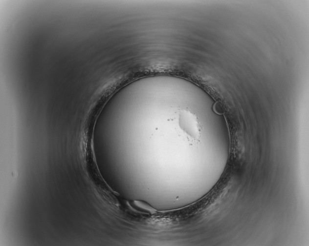 X0000093420640200710191006