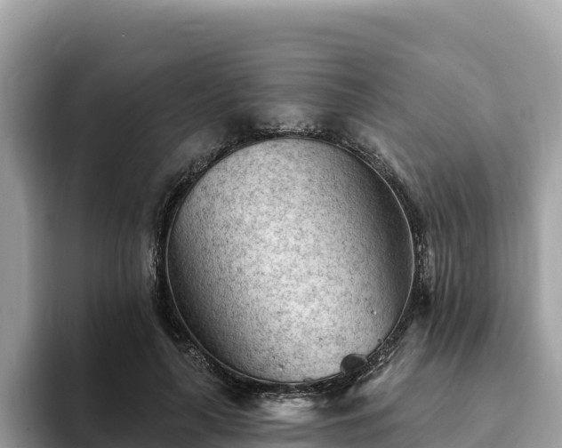 X0000093420643200710191006