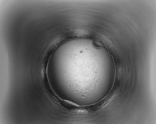 X0000093420644200710191006