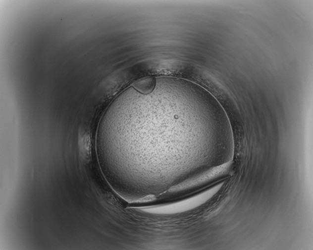 X0000093420646200710191006
