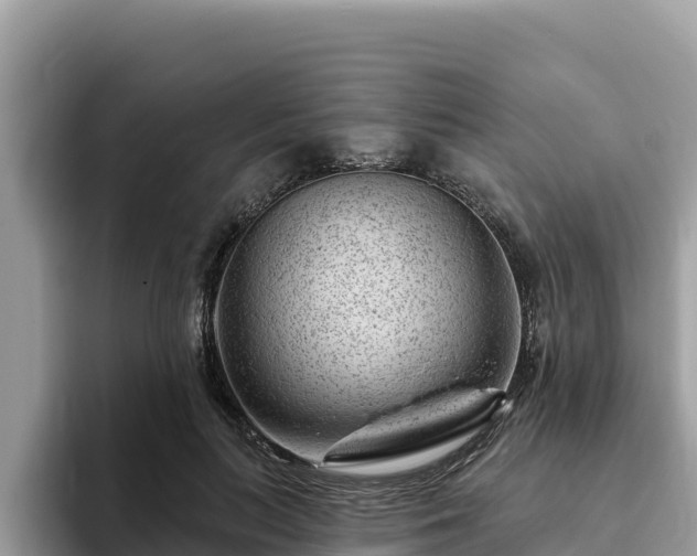 X0000093420647200710191006