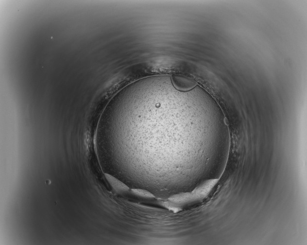 X0000093420648200710191006