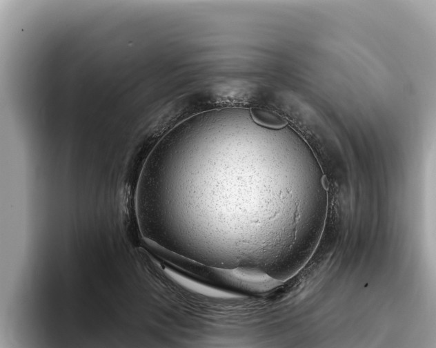 X0000093420649200710191006