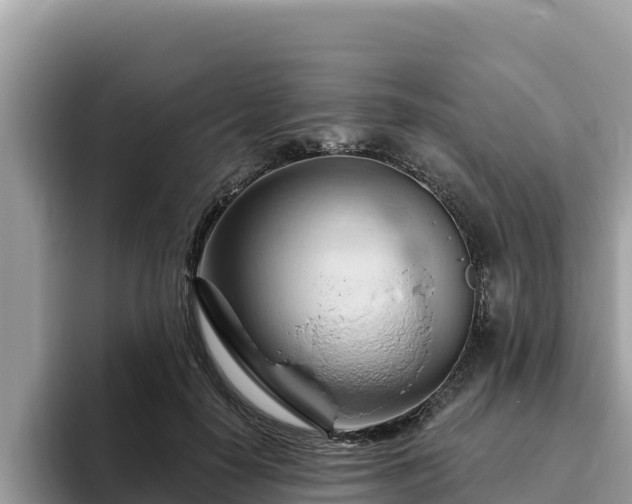 X0000093420650200710191006