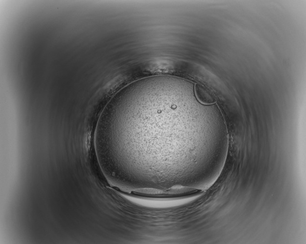 X0000093420652200710191006