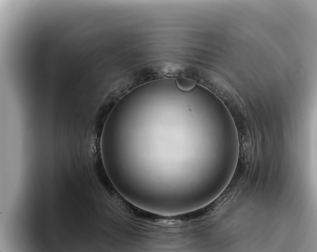X0000093420654200710191006