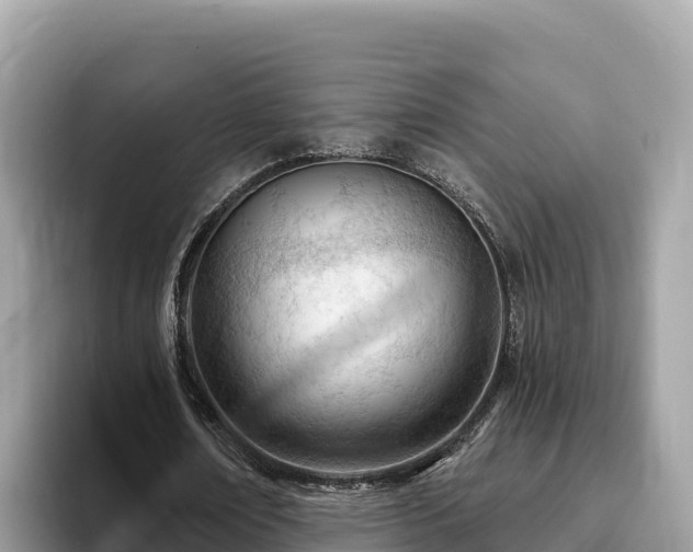 X0000093420674200710191006