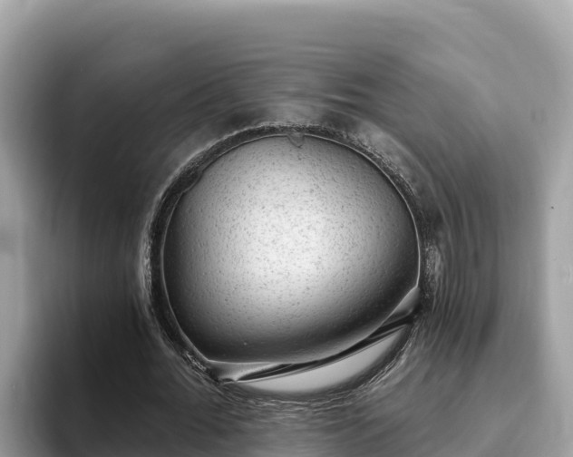 X0000093420676200710191006