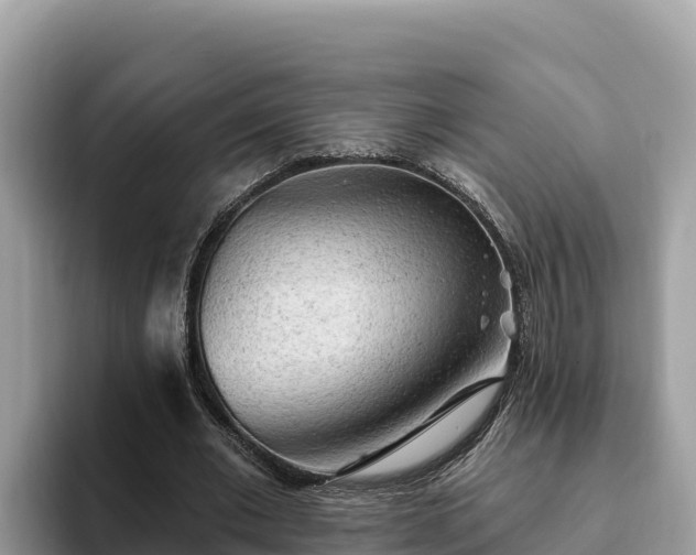 X0000093420677200710191006