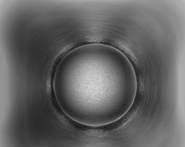 X0000093420681200710191006