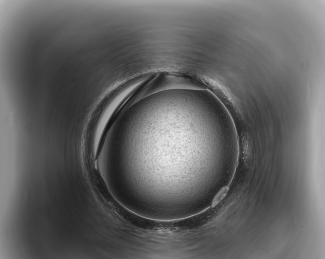 X0000093420684200710191006