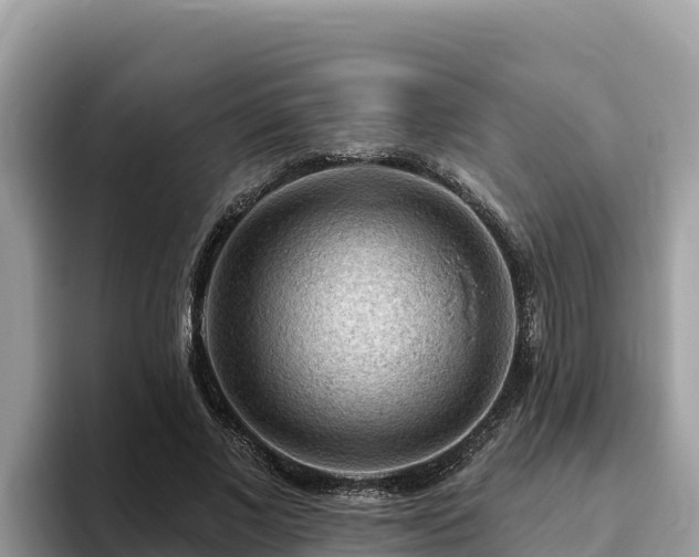 X0000093420685200710191006