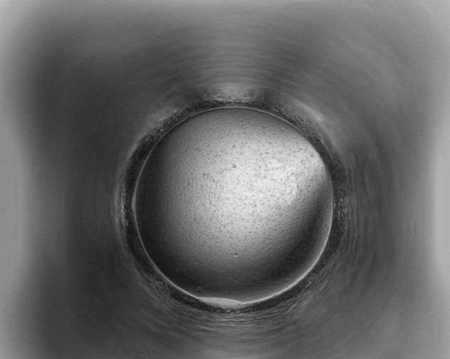 X0000093420688200710191006