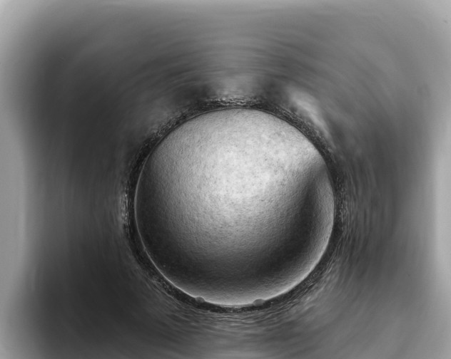 X0000093420689200710191006