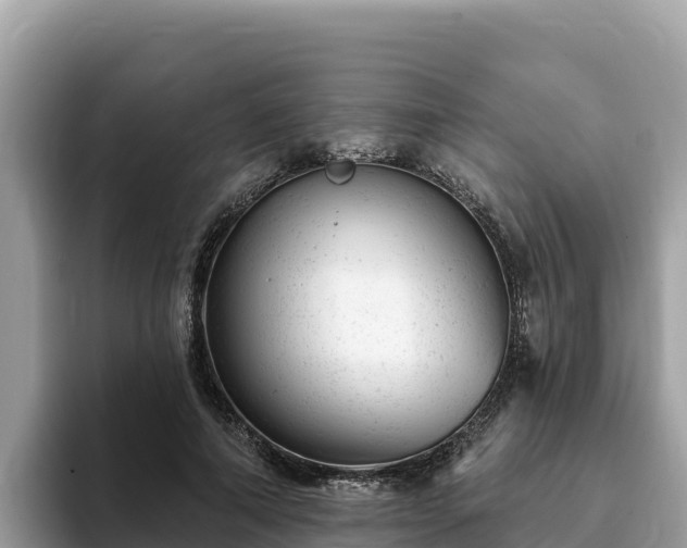 X0000093420690200710191006
