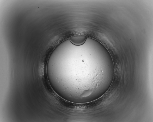 X0000093420694200710191006