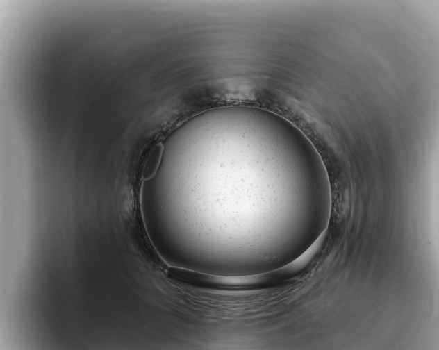 X0000093420704200710191006