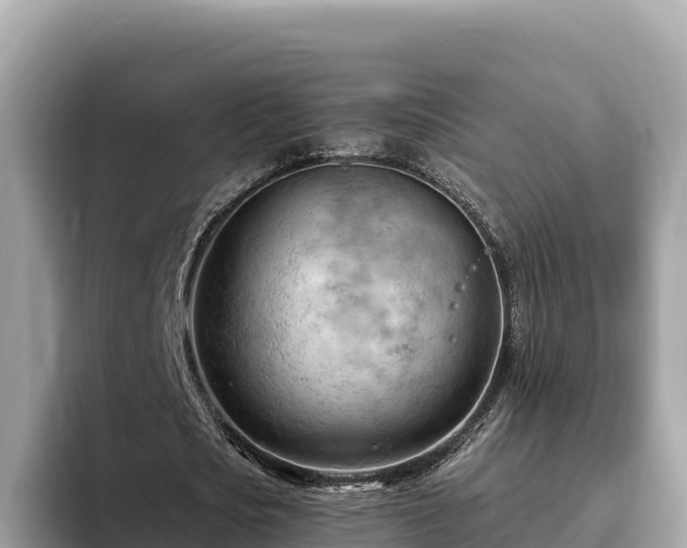 X0000093420721200710191005