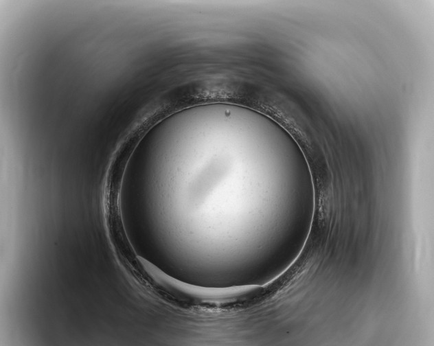 X0000093420722200710191005
