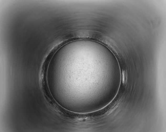X0000093420723200710191005