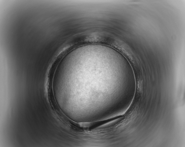 X0000093420724200710191005