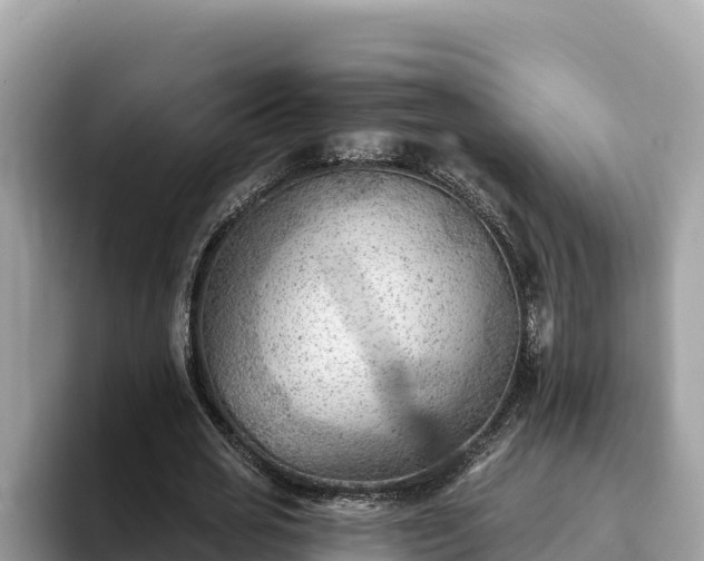 X0000093420725200710191005