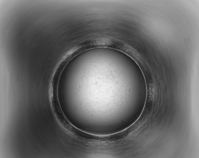 X0000093420726200710191005