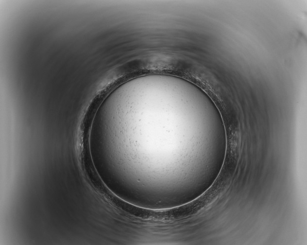 X0000093420727200710191005