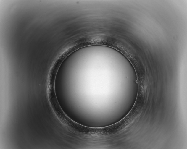 X0000093420728200710191005
