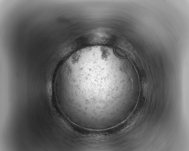 X0000093420729200710191005