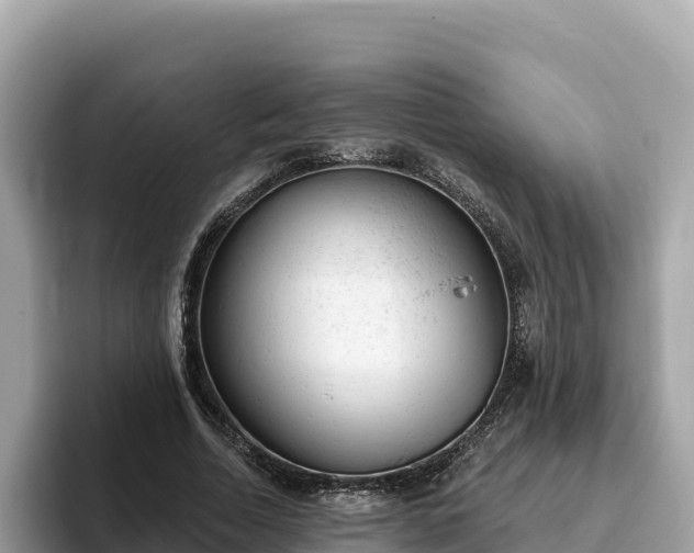 X0000093420730200710191005