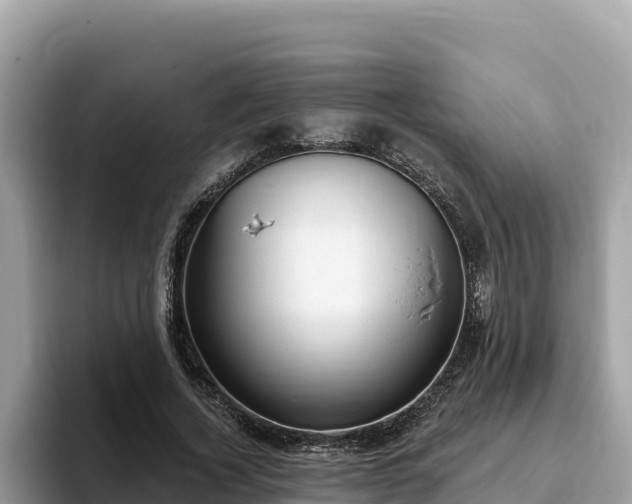 X0000093420732200710191005