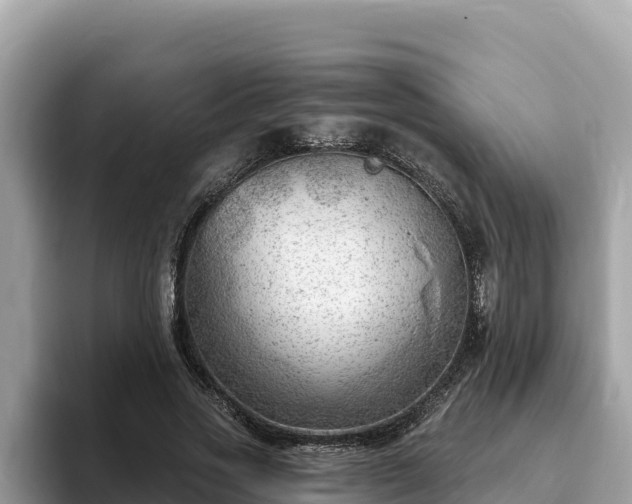 X0000093420733200710191005