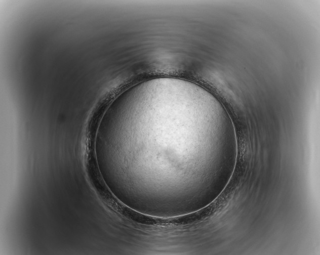 X0000093420736200710191005