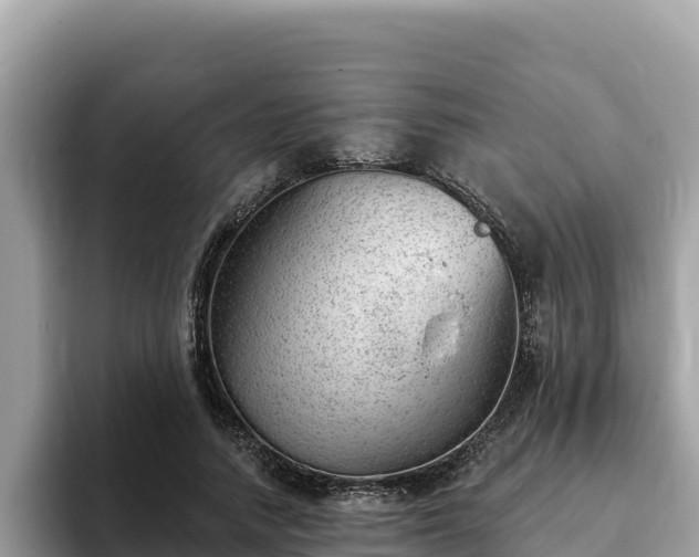 X0000093420738200710191005