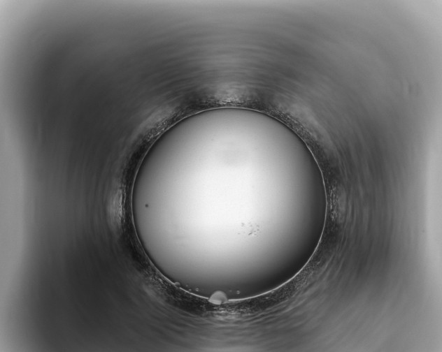 X0000093420740200710191005