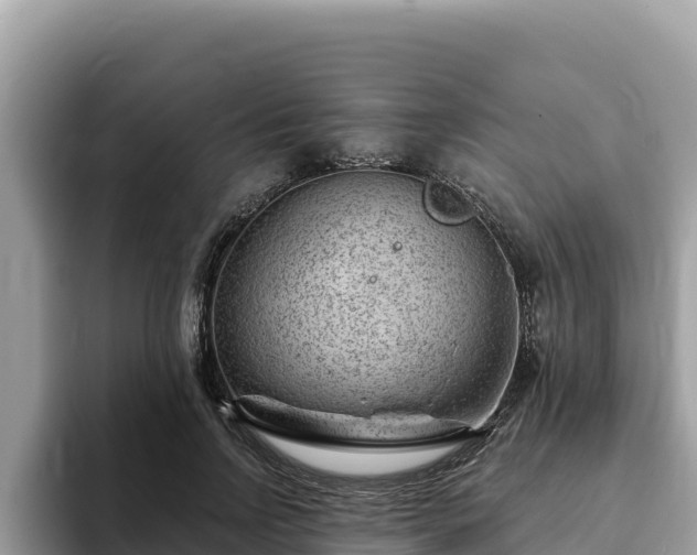 X0000093420742200710191005