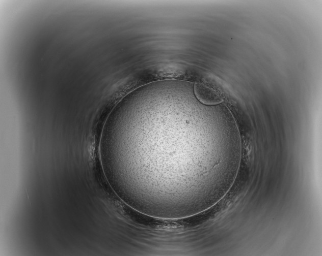 X0000093420745200710191005