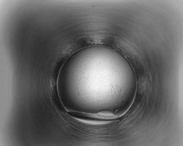 X0000093420747200710191005