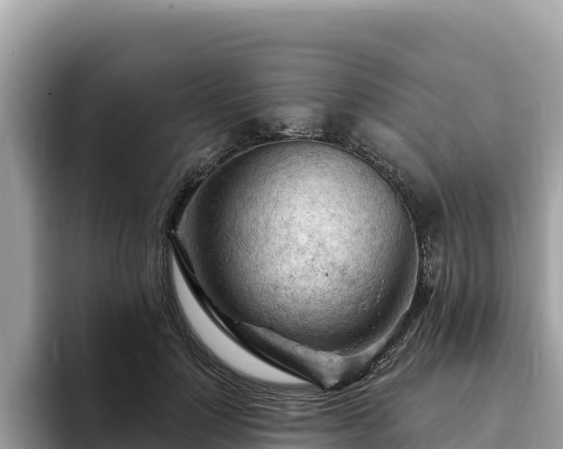 X0000093420748200710191005