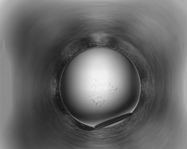 X0000093420752200710191005