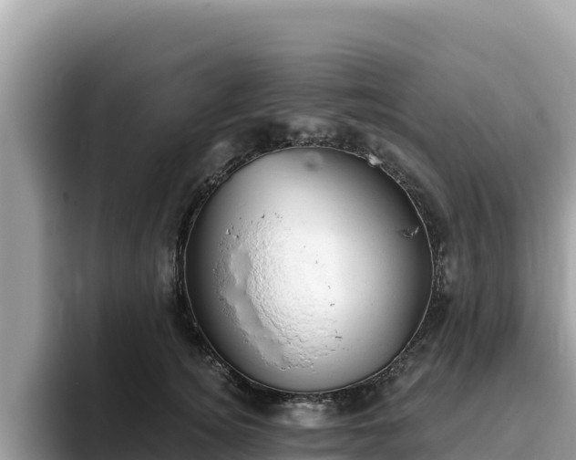 X0000093420756200710191005