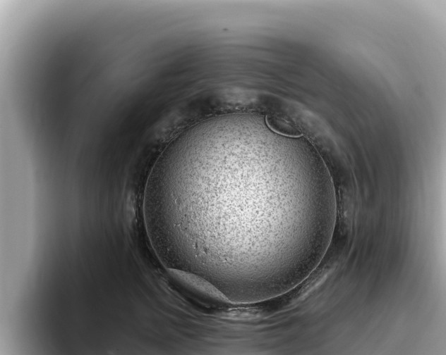 X0000093420758200710191005